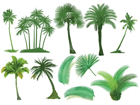 corte arbol
